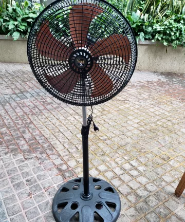 ELECTRIC FAN