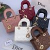 Ladies bag  with wellts